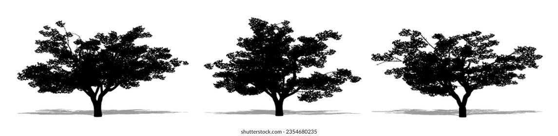 Set or collection of Cherry trees as a black silhouette on white background. Concept or conceptual vector for nature, planet, ecology and conservation, strength, endurance and  beauty