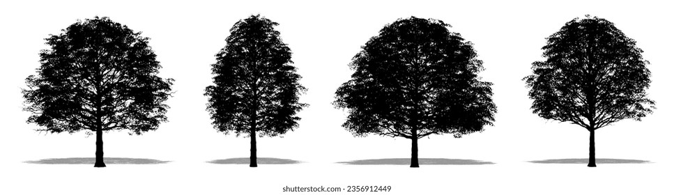 Set or collection of Cherrybark Oak trees as a black silhouette on white background. Concept or conceptual vector for nature, planet, ecology and conservation, strength, endurance and  beauty