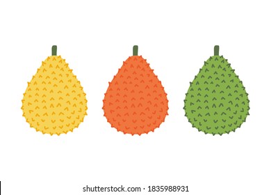 Set, collection of colorful gac fruits or baby jack fruits. Trendy superfood vector icons.
