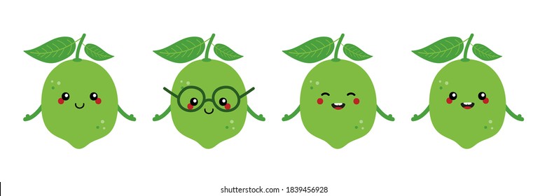 Set, collection of cute citrus green lime characters for food design isolated on white background.
