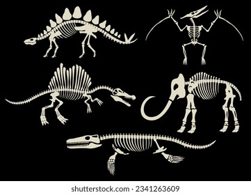 Set Collection of Dinosaur Fossils Archaeology Black and White