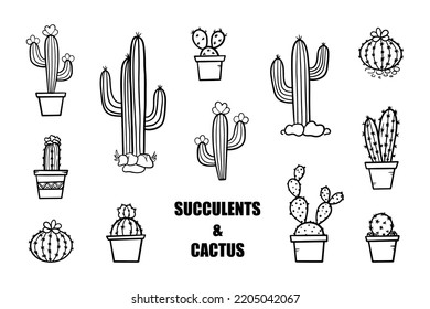 Set, collection of doodle, hand drawn cactus, cacti, succulents icons. 
