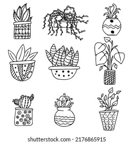 Set collection Doodle potted houseplant