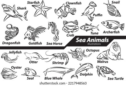 set collection drawings sea animals wild life ocean water lifestyle design vector illustration