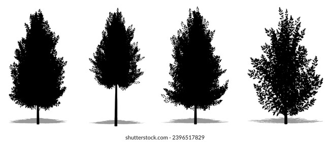 Set or collection of Eagleston Savannah Holly trees as a black silhouette on white background. Concept or conceptual vector for nature, planet, ecology and conservation, strength, endurance and  beaut