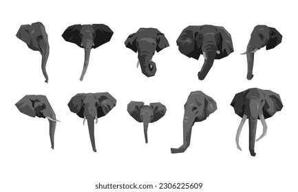 set collection of elephant's head with different types, sizes, ages, angles. cartoon flat vector illustration.
