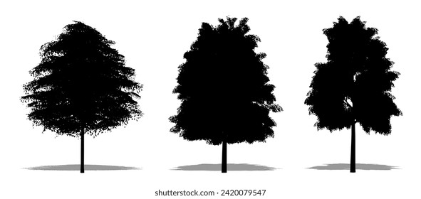 Set or collection of European Ash trees as a black silhouette on white background. Concept or conceptual vector for nature, planet, ecology and conservation, strength, endurance and  beauty