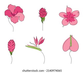 Set collection of exotic tropical botany flowers Plumeria, orchid; ginger, Anthurium, Strelitzia . Outline vector illustration Biophilia in hand drawn one line art. 