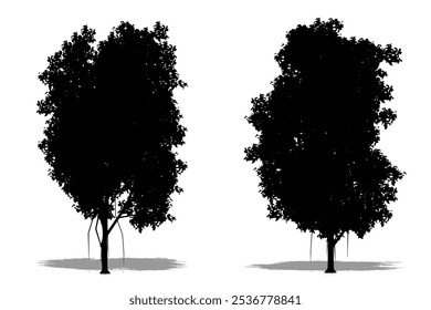 Set oder Sammlung von Ficus-Bäumen als schwarze Silhouette auf weißem Hintergrund. Konzept oder konzeptueller Vektor für Natur, Planet, Ökologie und Naturschutz, Kraft, Ausdauer und Schönheit