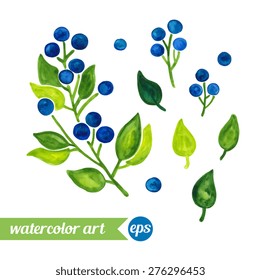 Set collection floral. Vector. Blueberries berries, branches and leaves. Watercolor painting. Blue, indigo, green, white bright colors. Hand drawn illustration. 