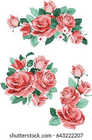 Set collection flowers roses, red buds and green leaves, isolated on white background