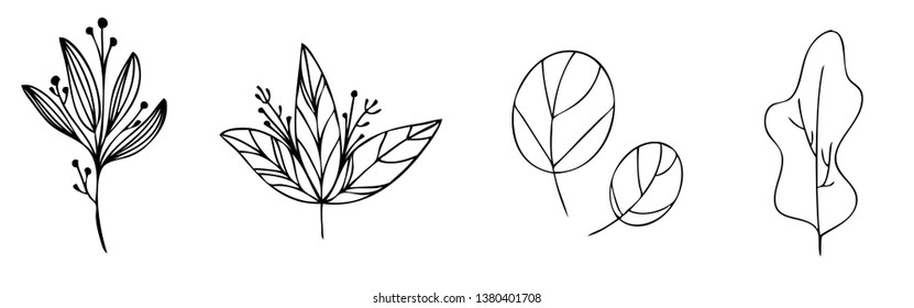 set collection forest fern eucalyptus  art foliage natural
leaves herbs in line style. Decorative beauty elegant illustration 
for design Vector