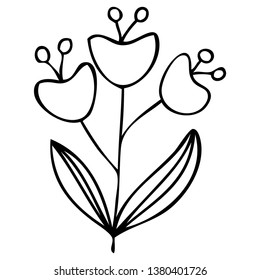 set collection forest fern eucalyptus  art foliage natural
leaves herbs in line style. Decorative beauty elegant illustration 
for design Vector