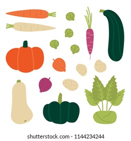 Set, collection of fresh autumn, fall vegetables. Carrots, butternut squash, pumpkin, zucchini, kohlrabi, brussels sprouts, onion, potato. Vector vegetables in cartoon style. 
