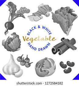 Set collection Fruit for design. Hand Draw Vegetable Ingredients - Vector