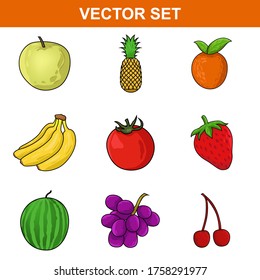 Set of collection fruit vector illustration, tropical organic market , banana straberry, pineapple, watermelon, concept food