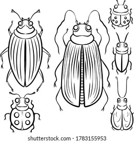 colección de insectos divertidos en blanco y negro