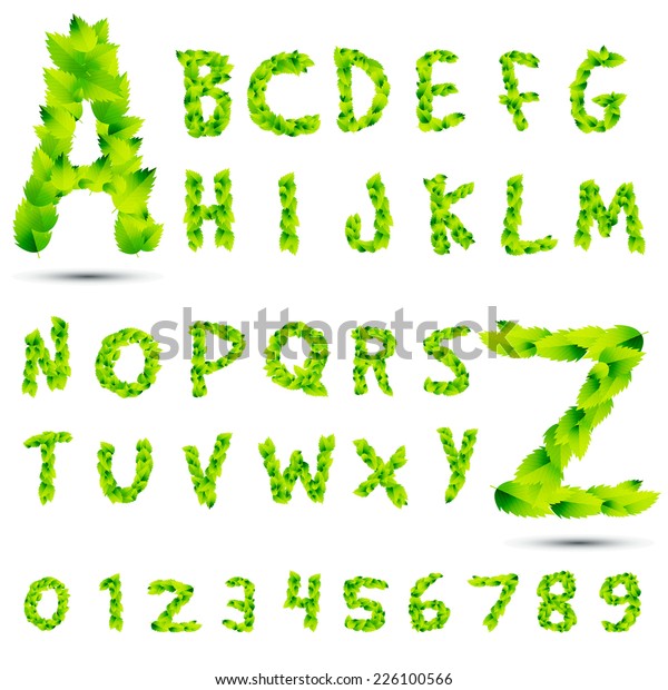 Set Collection Green Leafs Eco Font Stock Vector (Royalty Free ...