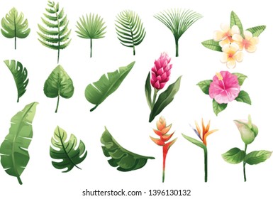 set collection green leaves and flower watercolor style for printing,wedding,decorate,flower shop,business card vector illustration