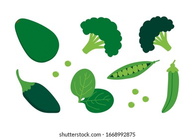 Conjunto, colección de verduras verdes. Adaguacate, brócoli, espinacas, pimienta picante y guisos vectoriales verdes.
