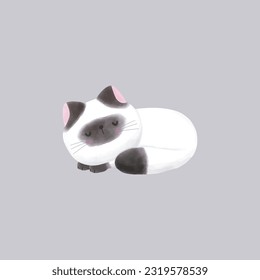 Set of collection group cute Himalayan cat vector illustration 
