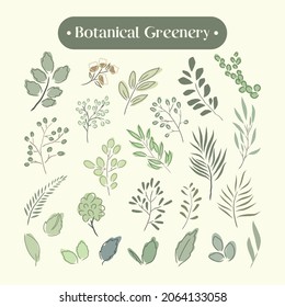 set collection of hand drawing botanical greenery 