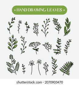 conjunto de hojas de vegetación botánica dibujadas a mano