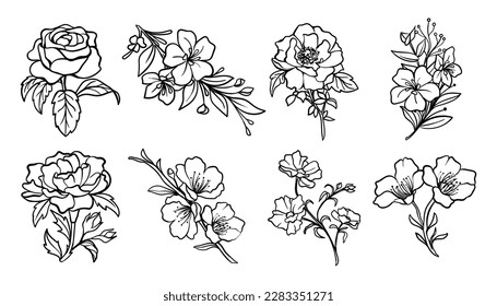 Colección de flores botánicas dibujadas a mano