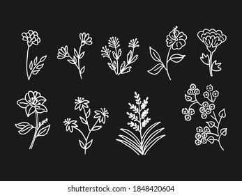 Set collection of hand drawn flower doodle vector illustrations.