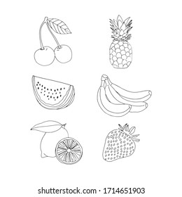 Set collection of hand drawn illustration of tropical fruits on white background. Vector illustration. Doodle style.