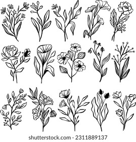 Set Collection Hand Drawn Ink Floral Line Art Illustration vector