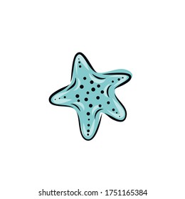 Set collection of hand painted drawn watercolor cliparts of starfish. Vector art illustration.
