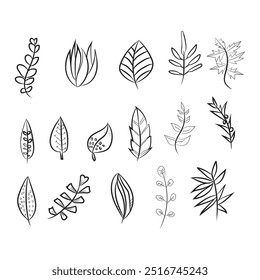Set A collection of hand-drawn botanical leaf designs, featuring various shapes and patterns, arranged in rows. Each leaf has a unique line art style, giving a minimalist aesthet