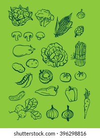 set collection of handmade hand drawn dark green outline ink brush drawing vegetebles grocery store illustration with light bright green background
