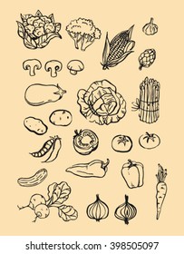 set collection of handmade hand drawn dark brown ink outline brush drawing vegetables grocery store illustration with old cream paper background