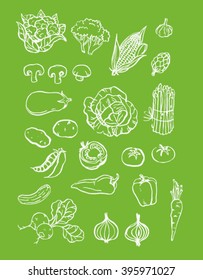 set collection of handmade white outline ink brush drawing vegetebles grocery store illustration with light bright green background