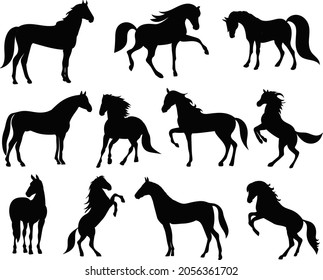 set, collection of horse silhouette, isolated, vector