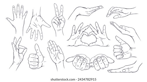 Set collection of human hand gestures. Hand drawn with ink. Isolated on white background vector.