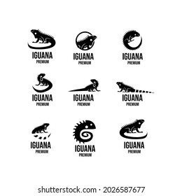 conjunto de la colección iguana logo icono ilustración de diseño