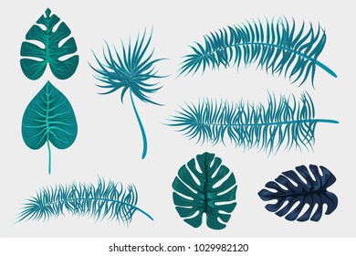 Set collection isolated. Tropical background vector palm leaf. Exotic summer green jungle tree. Hawaii plant pattern decoration design. Botanical tropic fashion element. Colorful travel banner.