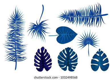 Set collection isolated. Tropical background vector palm leaf. Exotic summer green jungle tree. Hawaii plant pattern decoration design. Botanical tropic fashion element. Colorful travel banner.
