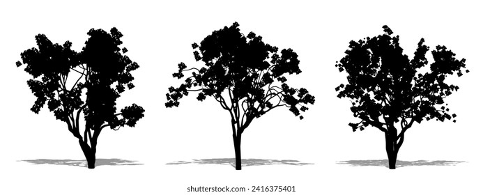 Set oder Sammlung von Jacaranda Bäumen als schwarze Silhouette auf weißem Hintergrund. Konzepte oder konzeptuelle Vektorgrafiken für Natur, Planeten, Umwelt und Naturschutz, Stärke, Ausdauer und Schönheit