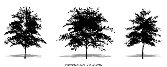 Set or collection of Japanese Maple trees as a black silhouette on white background. Concept or conceptual vector for nature, planet, ecology and conservation, strength, endurance and  beauty