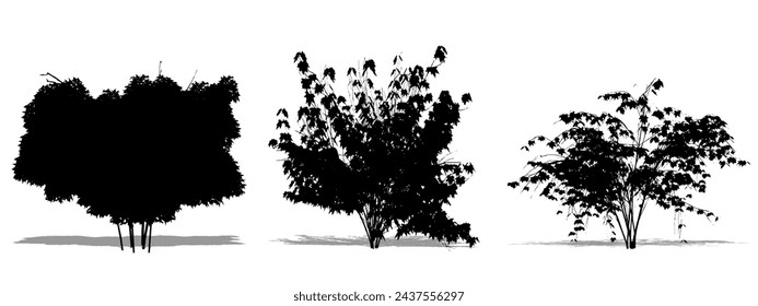 Set or collection of Japanese Maple trees as a black silhouette on white background. Concept or conceptual vector for nature, planet, ecology and conservation, strength, endurance and  beauty