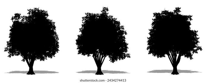 Set or collection of Japanese Pagoda trees as a black silhouette on white background. Concept or conceptual vector for nature, planet, ecology and conservation, strength, endurance and  beauty