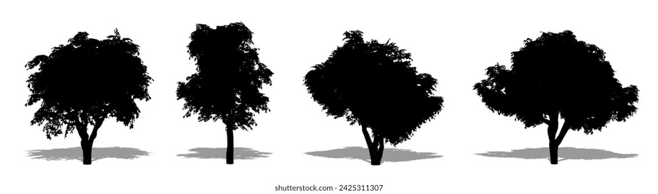 Set or collection of Kermes Oak trees as a black silhouette on white background. Concept or conceptual vector for nature, planet, ecology and conservation, strength, endurance and  beauty