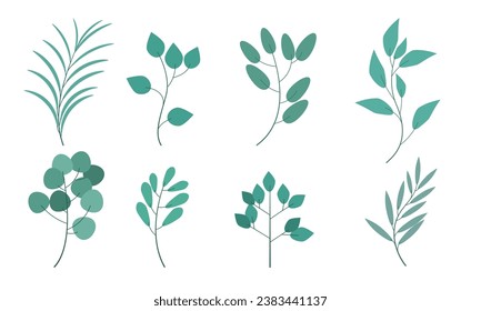 set collection of leaves, beautiful leaf elements for decoration and design