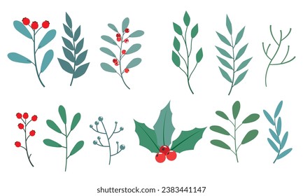 set collection of leaves, beautiful leaf elements for decoration and design