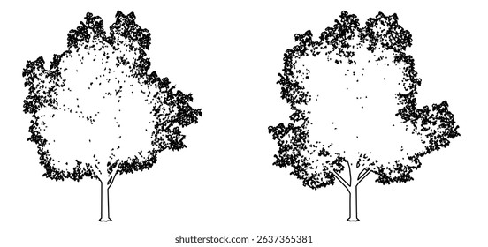 Set or collection of Lemon Tree trees as black line drawing silhouette on white background. Concept or conceptual vector for nature, planet, ecology conservation, strength, endurance and  beauty