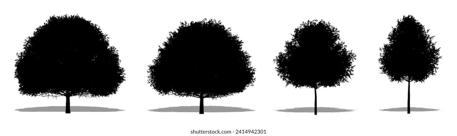 Set or collection of Live Oak trees as a black silhouette on white background. Concept or conceptual vector for nature, planet, ecology and conservation, strength, endurance and  beauty